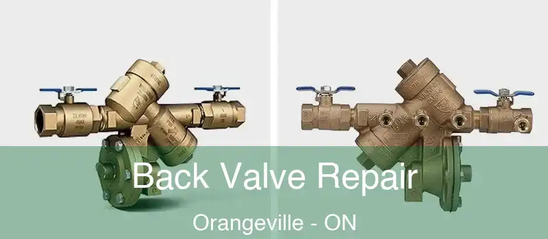  Back Valve Repair Orangeville - ON