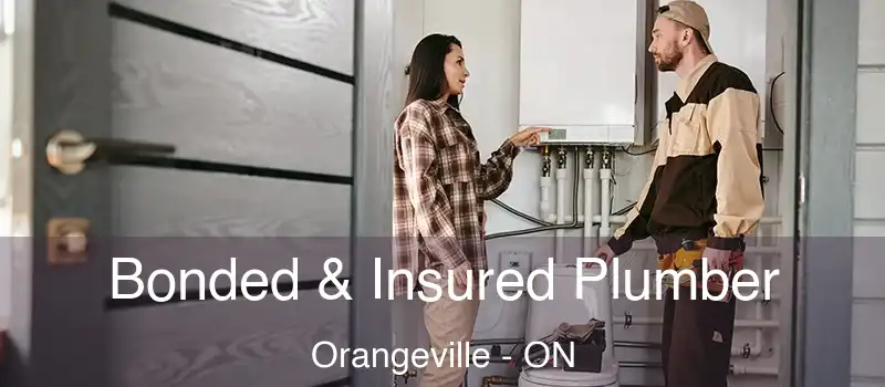  Bonded & Insured Plumber Orangeville - ON