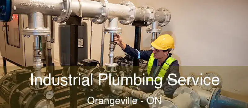  Industrial Plumbing Service Orangeville - ON