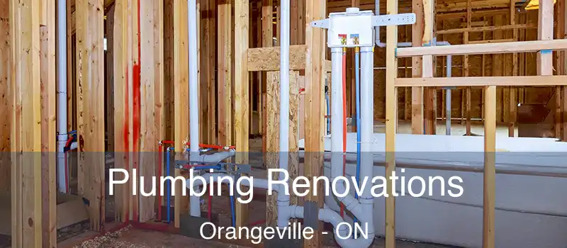  Plumbing Renovations Orangeville - ON
